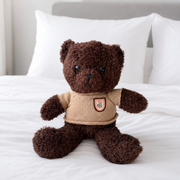 Classic Brown Teddy Bear with Knitted Jumper