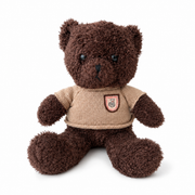 Classic Brown Teddy Bear with Knitted Jumper
