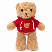 Light Brown Teddy Bear with Red Hoodie